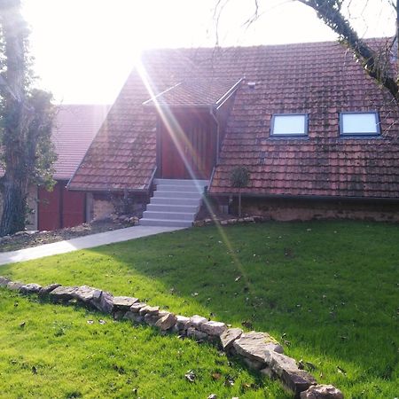 Joli Gite F2 Independant Avec Jardin Prive Rouffach Eksteriør billede
