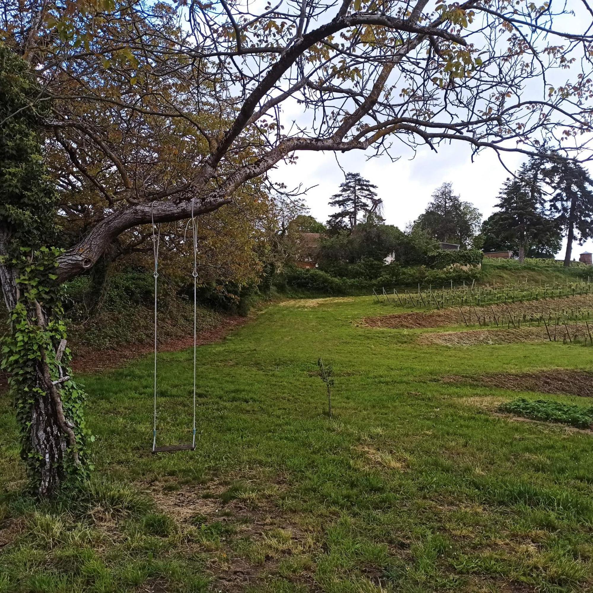 Joli Gite F2 Independant Avec Jardin Prive Rouffach Eksteriør billede