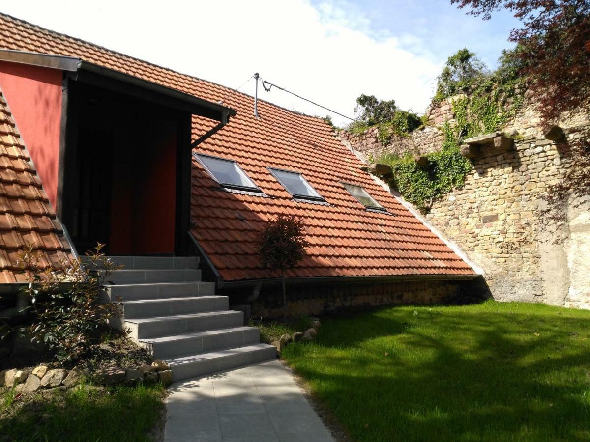 Joli Gite F2 Independant Avec Jardin Prive Rouffach Eksteriør billede