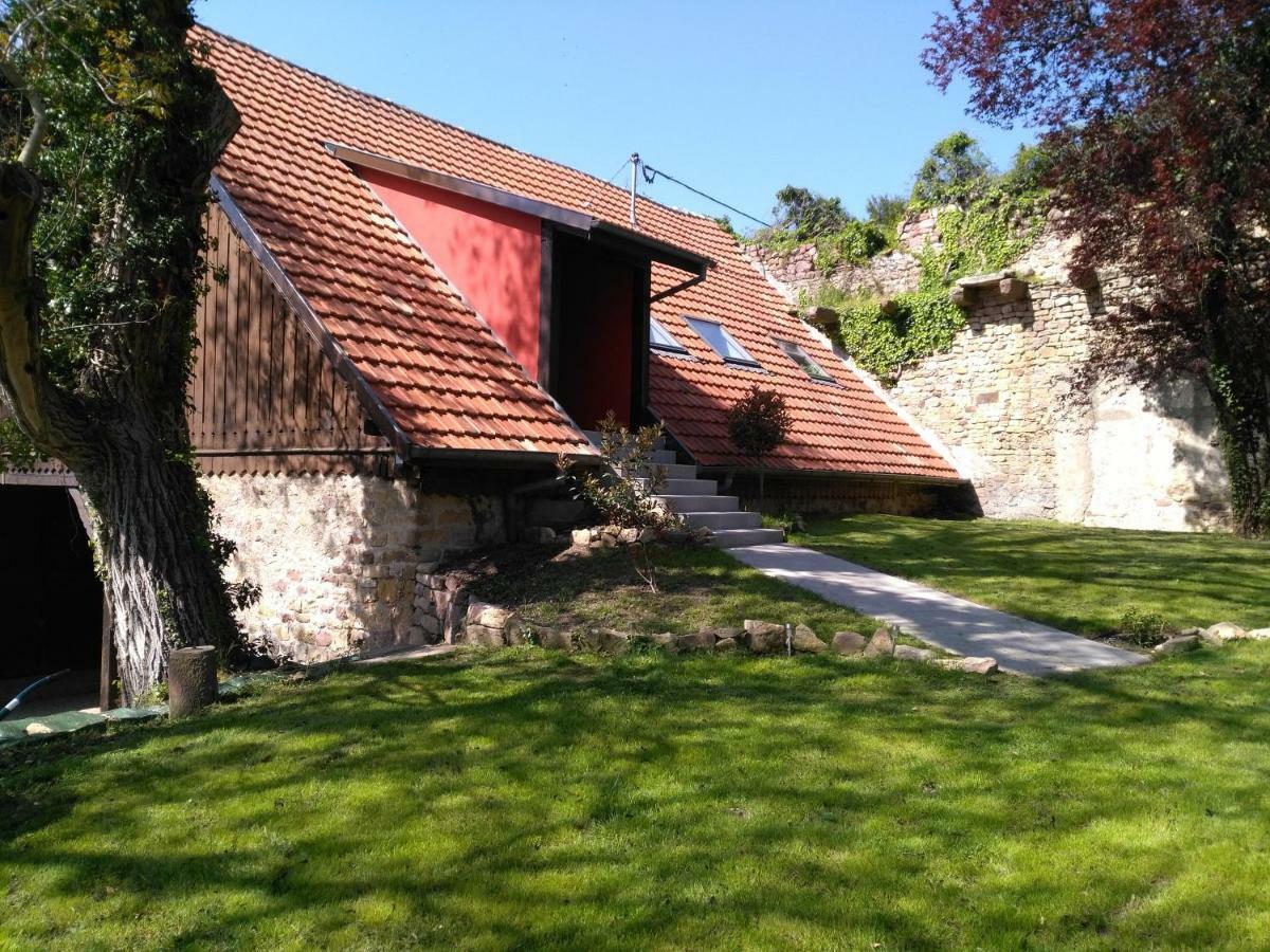 Joli Gite F2 Independant Avec Jardin Prive Rouffach Eksteriør billede